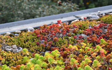 the cost of Kirkstyle green roof installation