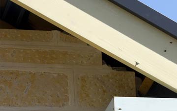 soffit repair Kirkstyle